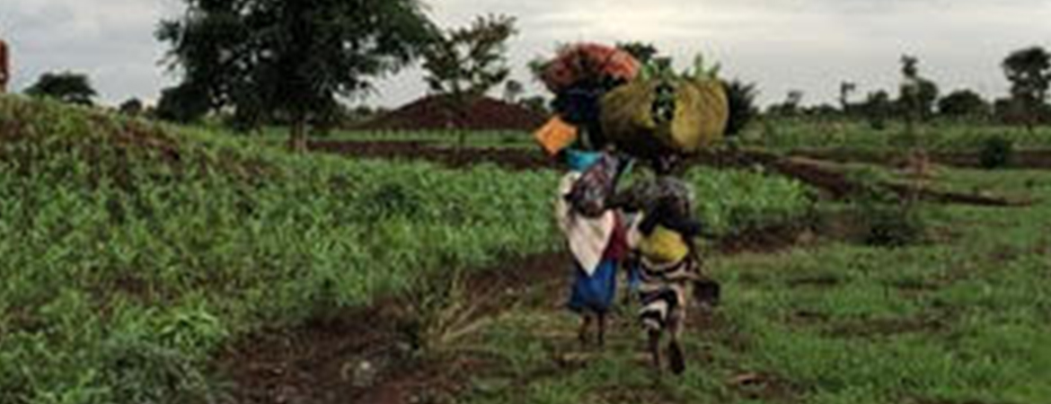 Discovering the Land