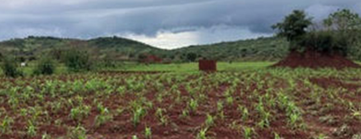 Another World, Another Day, Another Dream